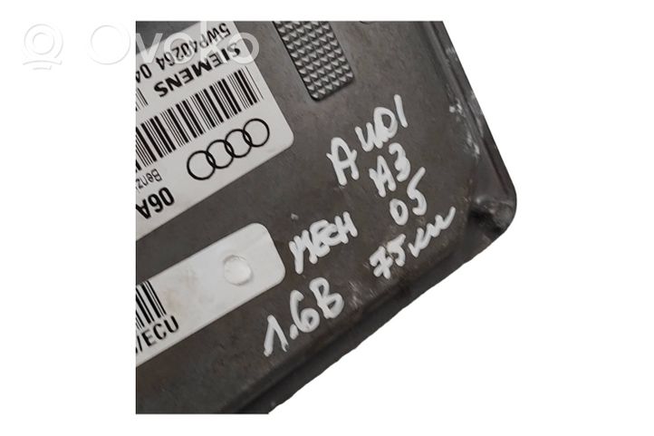 Audi A3 S3 8P Sterownik / Moduł ECU 06A906033DS