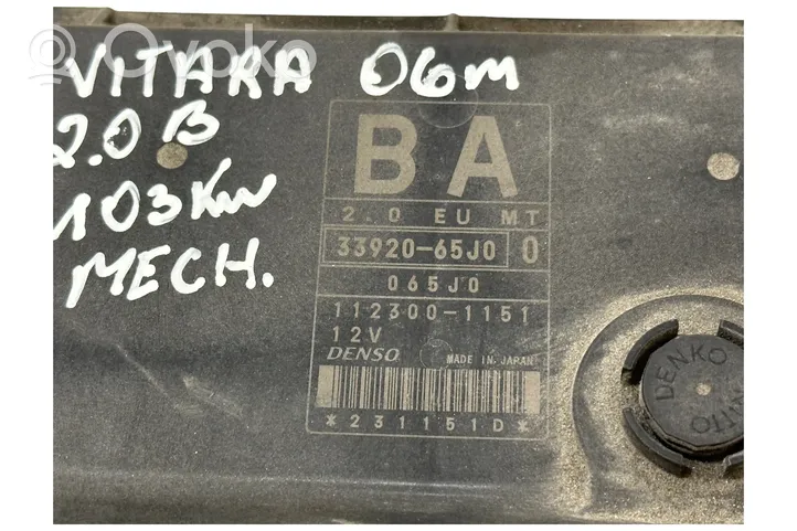 Suzuki Grand Vitara II Sterownik / Moduł ECU 3392065J0