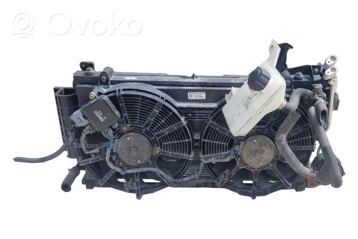 Nissan Leaf I (ZE0) Set del radiatore 214813NL0B