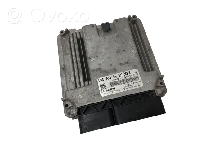 Skoda Octavia Mk2 (1Z) Sterownik / Moduł ECU 04L907309B