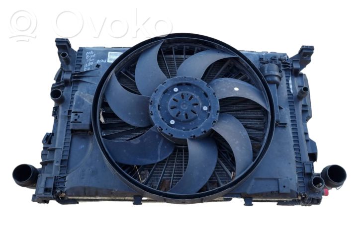 A2049061403 Mercedes-Benz B W246 W242 Electric radiator cooling 