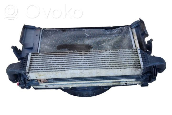 A2049061403 Mercedes-Benz B W246 W242 Electric radiator cooling  