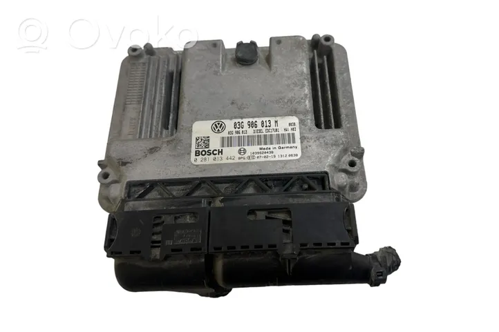 Skoda Fabia Mk1 (6Y) Sterownik / Moduł ECU 03G906013M