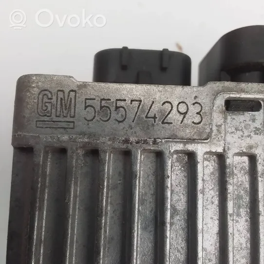 Opel Insignia A Przekaźnik / Modul układu ogrzewania wstępnego 55574293