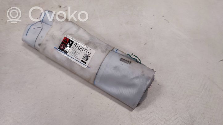 Tesla Model 3 Sitz-Airbag 107783000F