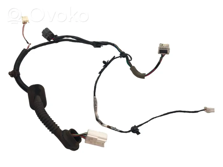 Subaru Outback Cableado de puerta trasera 81823AJ000