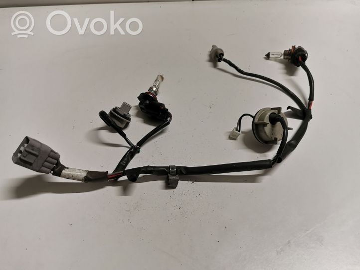 Subaru Outback (BS) Autres faisceaux de câbles 