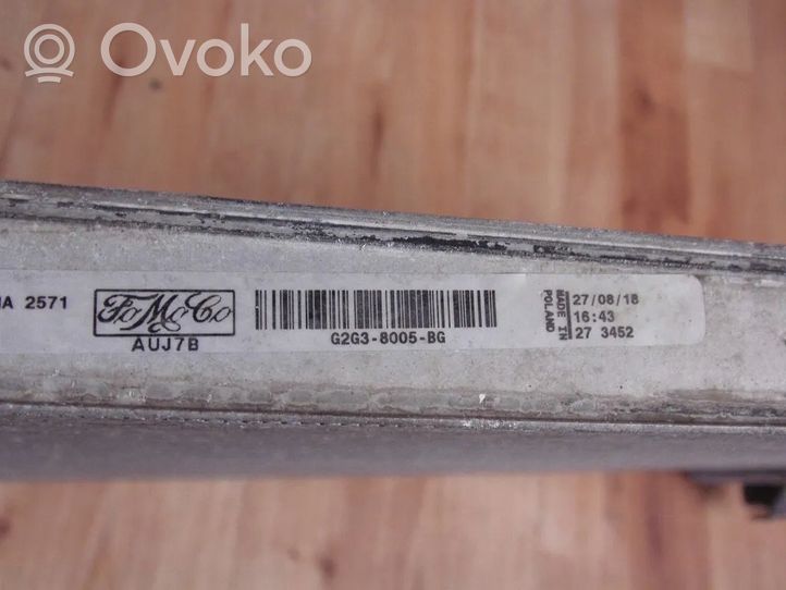 Ford Mondeo MK V Aušinimo skysčio radiatorius G2G38005BG