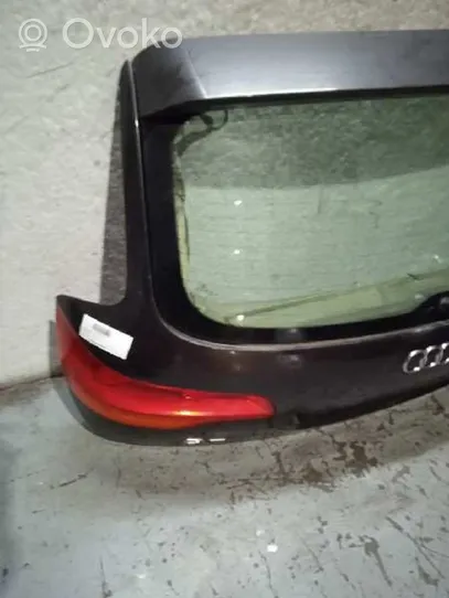Audi Q7 4L Portiera posteriore 