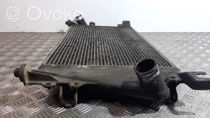 Chrysler Voyager Chłodnica powietrza doładowującego / Intercooler 1035001