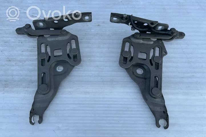 BMW X5 E70 Cerniere del vano motore/cofano 7148348