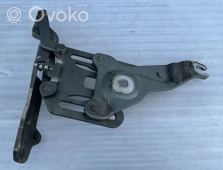 BMW X5 E70 Cerniere del vano motore/cofano 7148348