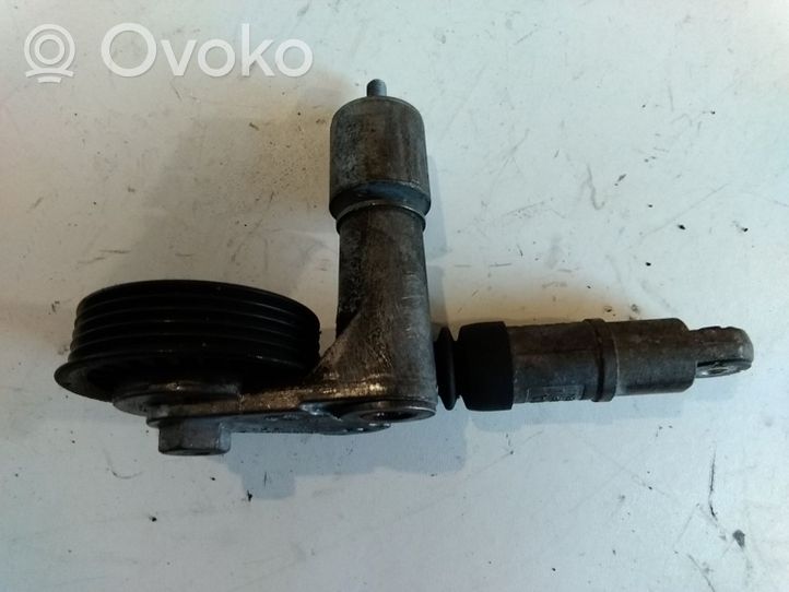 Audi A4 S4 B6 8E 8H Napinacz paska wielorowkowego / Alternatora F234709100