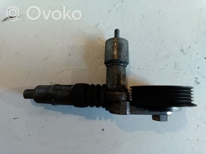 Audi A4 S4 B6 8E 8H Napinacz paska wielorowkowego / Alternatora F234709100