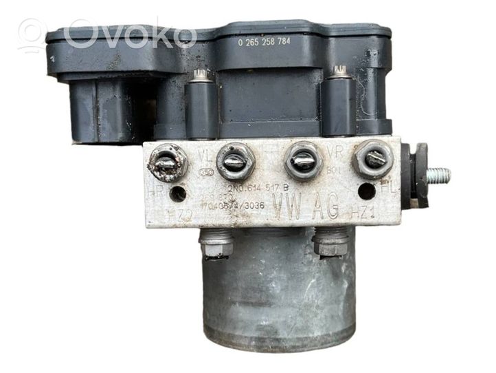 Volkswagen Crafter ABS Pump 2N0907379B