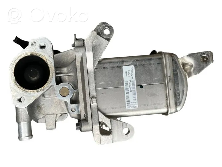 Volvo V60 EGR vožtuvas 31422119