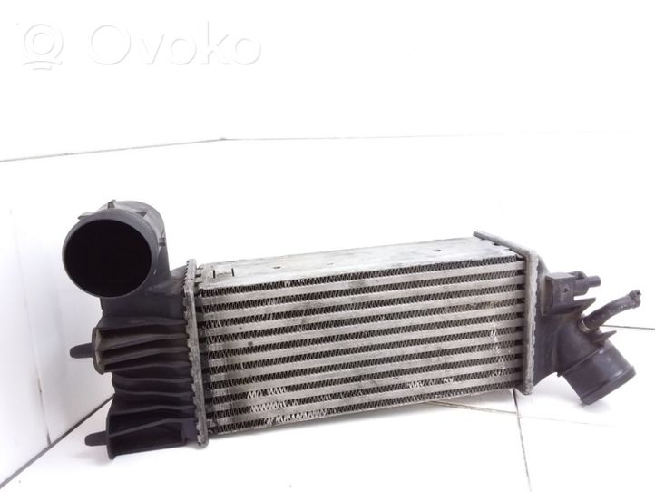 Peugeot 406 Chłodnica powietrza doładowującego / Intercooler 9636195580