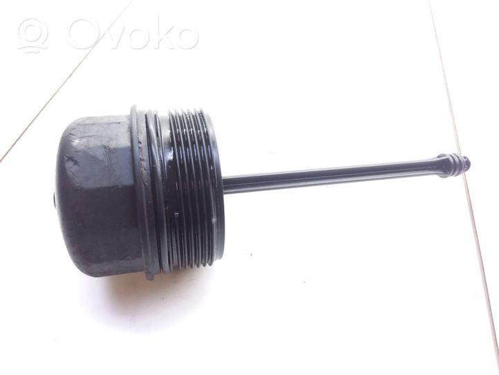 Volkswagen PASSAT B5.5 Coperchio del filtro dell’olio 038115433