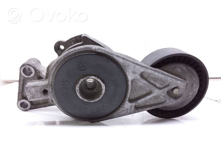 Volkswagen Golf V Napinacz paska alternatora 06A903315F