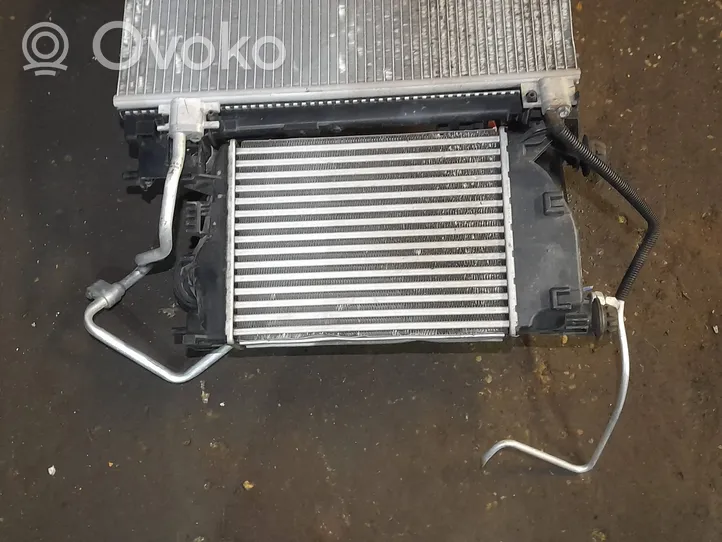 Nissan Qashqai Radiateur de refroidissement 214104ED0A