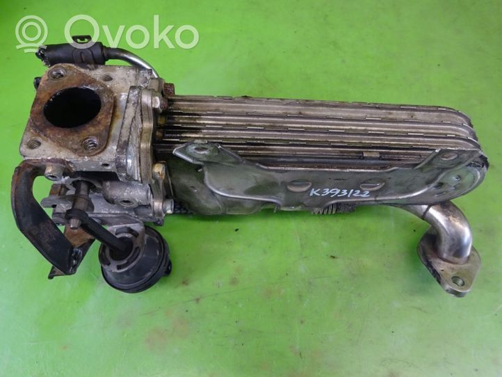 Volkswagen Golf V Radiatore opzionale 03G131063E 038131513AD