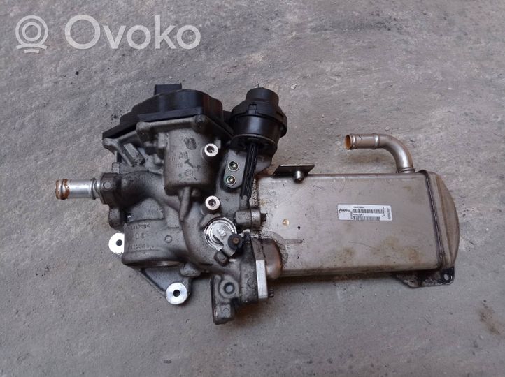 Seat Exeo (3R) EGR dzesētājs V29009967