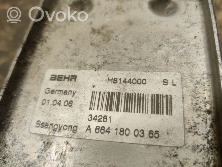 SsangYong Kyron Öljynsuodattimen kannake A6641800365