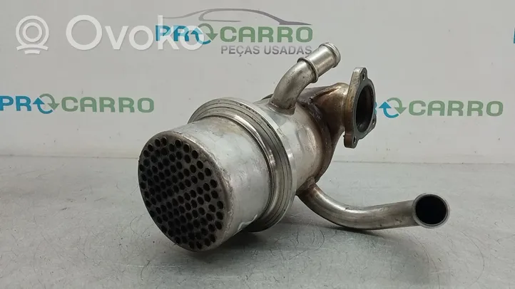 Volkswagen Tiguan Valvola di raffreddamento EGR 