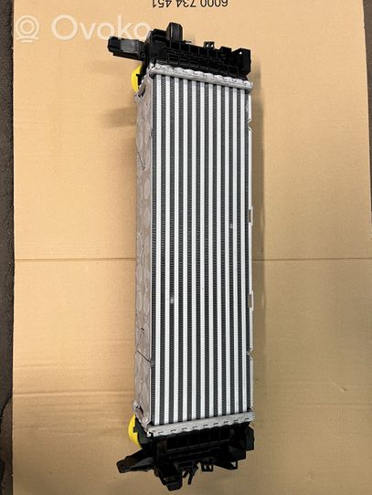 BMW X6 G06 Radiatore intercooler 17518584127