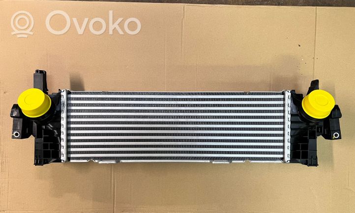 BMW X5 G05 Chłodnica powietrza doładowującego / Intercooler 17518584127