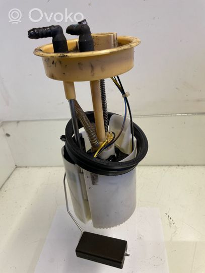 Volkswagen Touran II In-tank fuel pump 1T0919050F