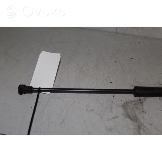 Opel Antara Rear window strut damper 