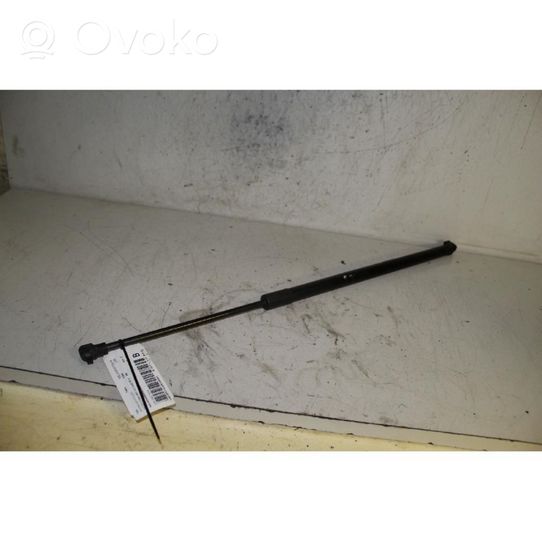 Opel Antara Rear window strut damper 