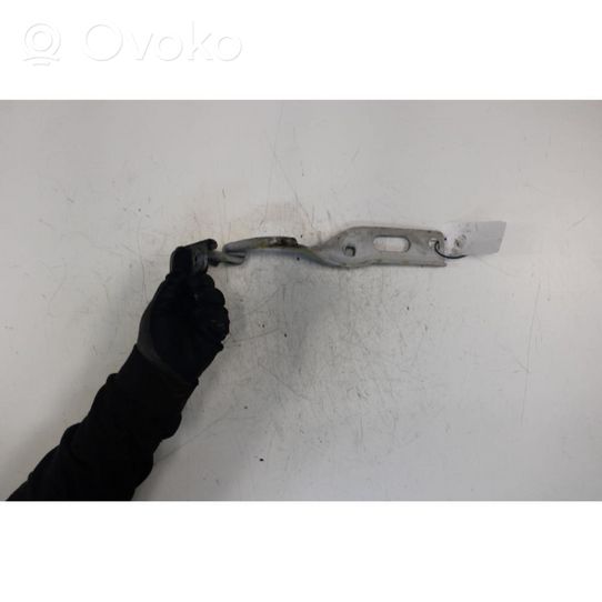 Seat Leon (5F) Engine bonnet/hood hinges 