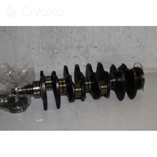 Fiat Punto (188) Crankshaft 