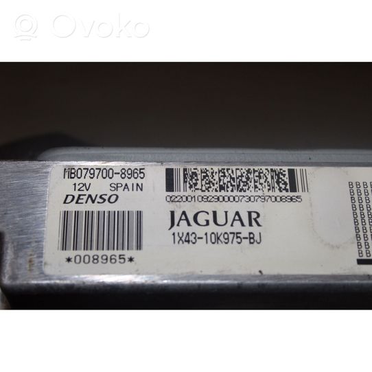 Jaguar X-Type Door central lock control unit/module 