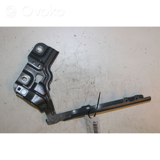 Audi Q3 F3 Engine bonnet/hood hinges 