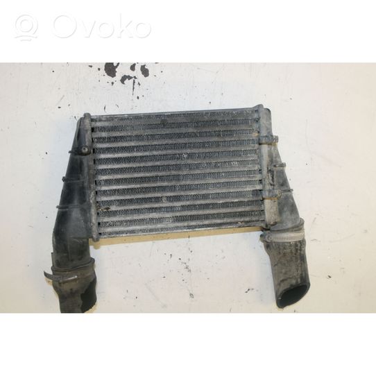 Volkswagen PASSAT B5 Starpdzesētāja radiators 