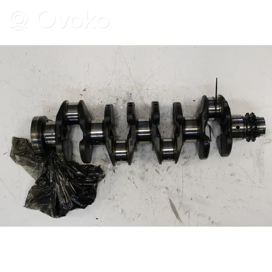 Ford Focus Crankshaft 