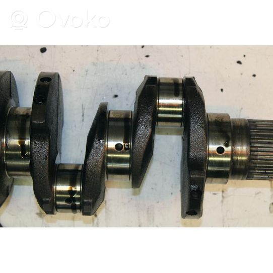 Fiat Ducato Crankshaft 