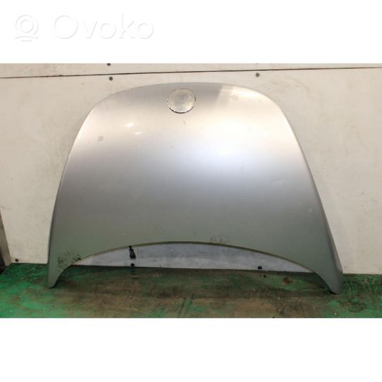 Volkswagen New Beetle Engine bonnet/hood 