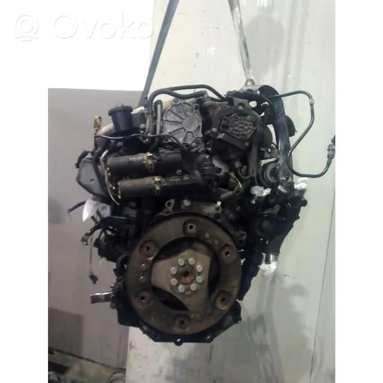 Lancia Phedra Motor 