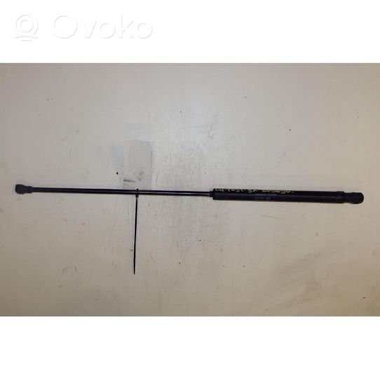 Citroen C4 I Rear window strut damper 