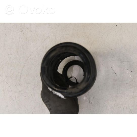 Renault Captur Rear coil spring 