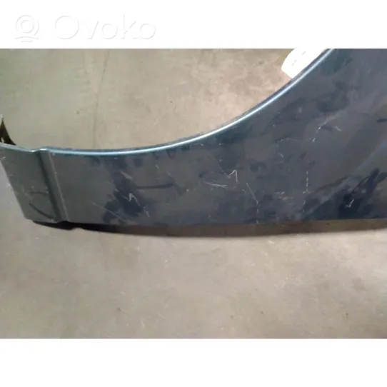 Ford Focus Fender 