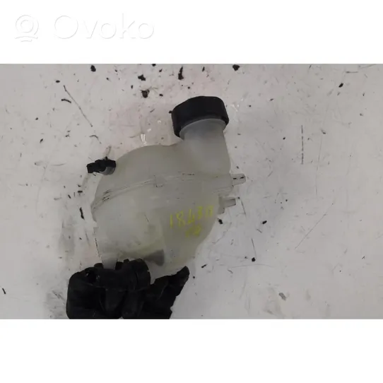 Citroen C4 II Jäähdytysnesteen paisuntasäiliö 