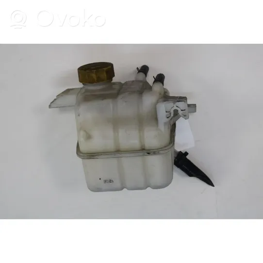 Chevrolet Captiva Serbatoio di compensazione del liquido refrigerante/vaschetta 