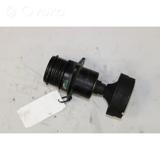 Ford Focus Supporto del generatore/alternatore 