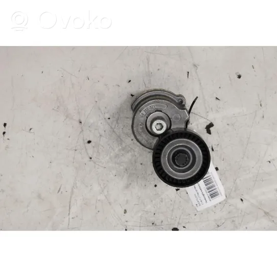 Fiat Ducato Napinacz paska alternatora 