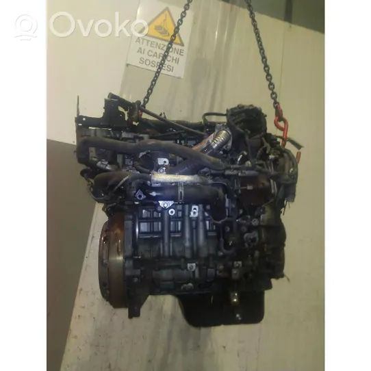 Ford Focus Motor T1DB